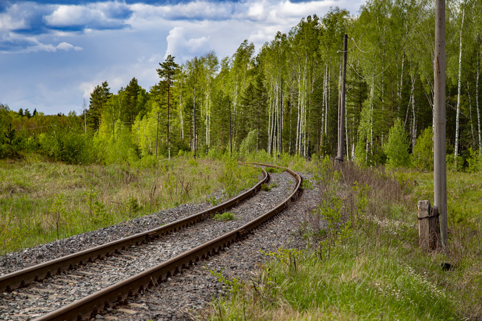 Photo hunt for RA-1 or a trip to the railway - My, Railway, Shatura, Locomotive, A train, Railcar, Trolley, RA1, Longpost