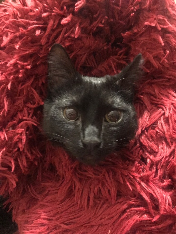 Пряник | Пикабу