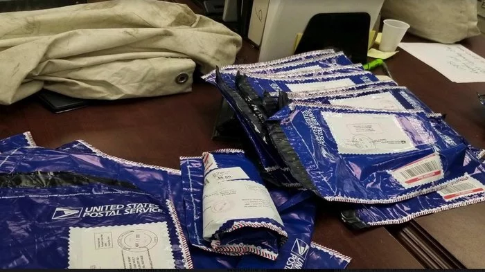 Семья из Вирджинии нашла на дороге сумку с миллионом долларов Америка, Находка, Деньги Семья из Вирджинии нашла на дороге сумку с миллионом долларов Америка, Находка, Деньги