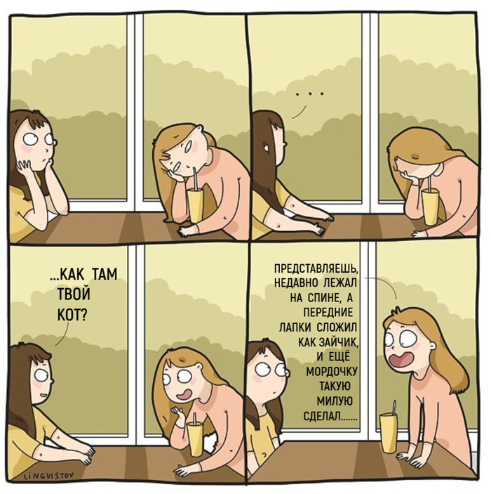 Вечная тема (владельцы животных поймут)