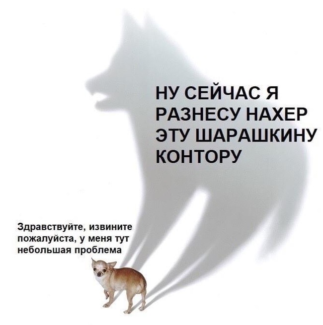 Hello, sorry... - Picture with text, Dog, Вежливость