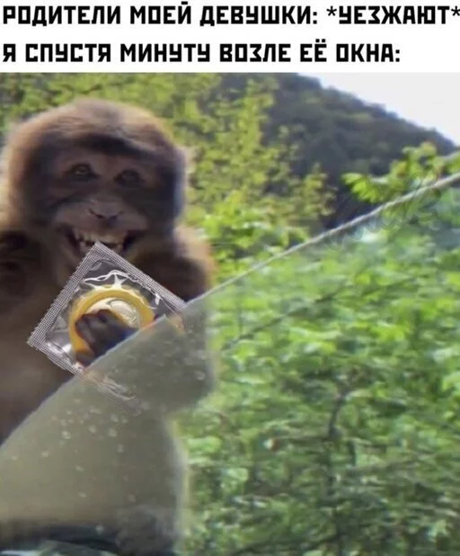 I'll be there soon - Monkey, Condoms, Picture with text