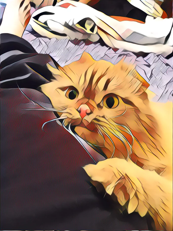 Cartoon cats - My, cat, The photo, Treatment, Longpost, Samsung Galaxy