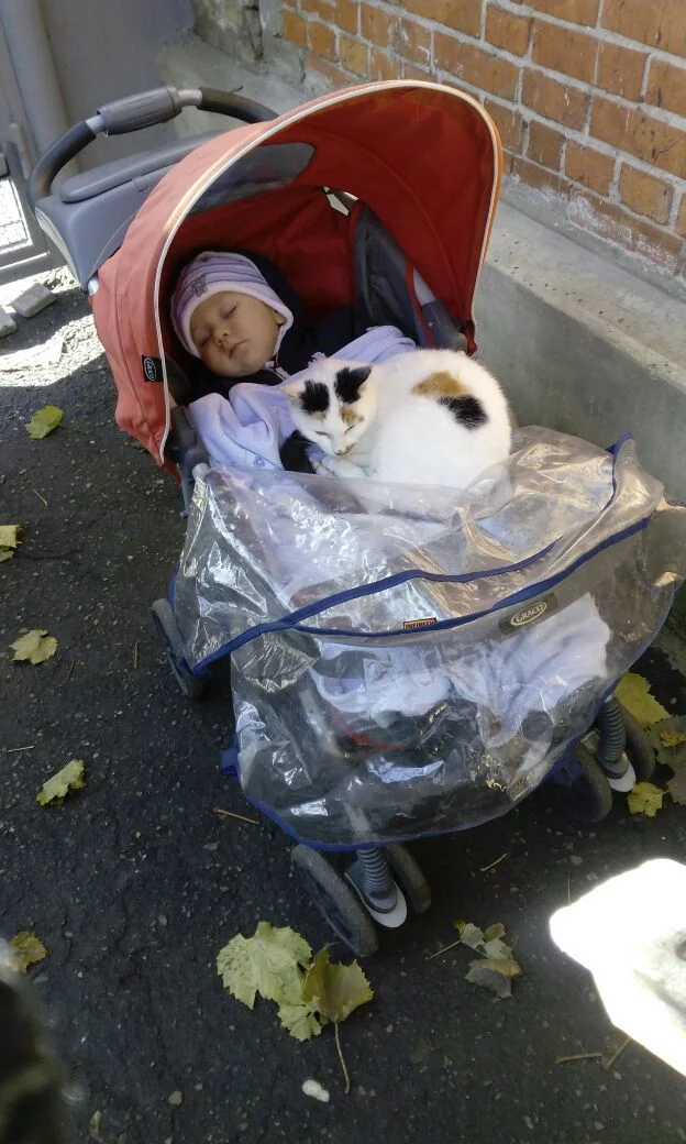 Parked - My, Children, cat, Stroller