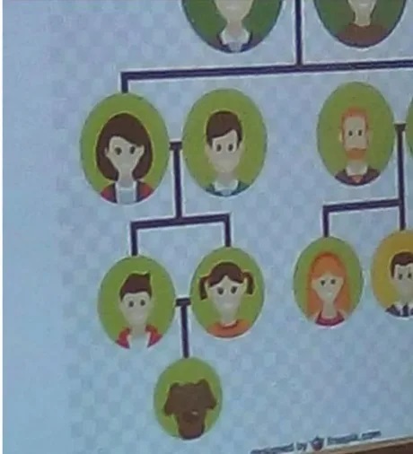 Родила старуха в ночь то ли сына, то ли дочь