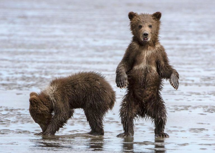 Щас мама придет!!!