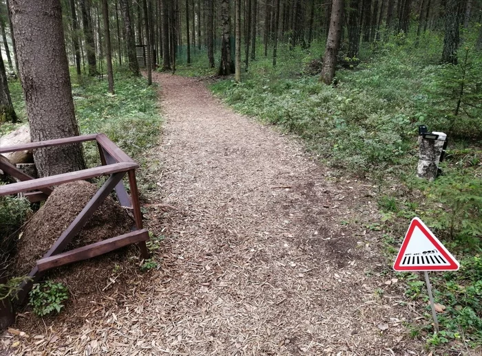 All pedestrians must be respected - My, Road sign, Crosswalk, Walk in the woods, Milota, Animals