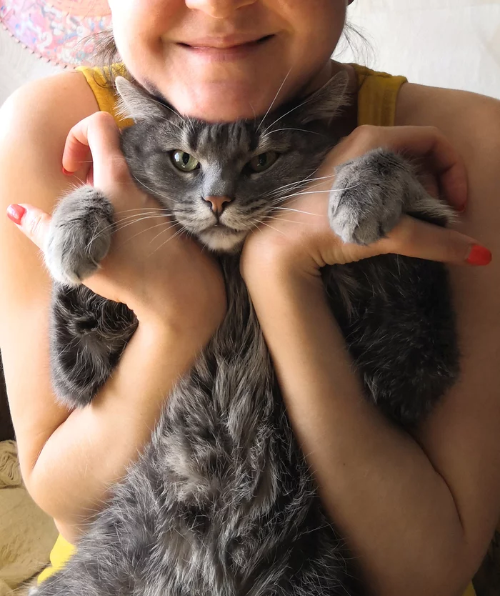 What if this is love? - My, cat, Severity, Hugs