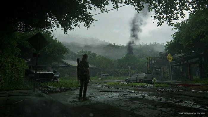    The Last Of Us Part II Sony PSP, , Sony