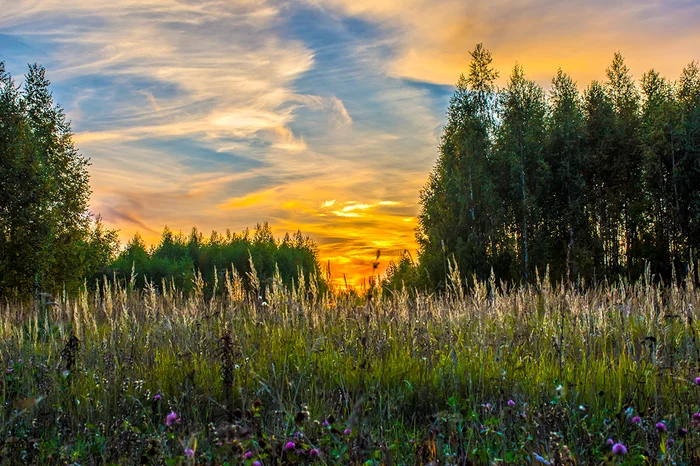 Sunset artist - Sunset, Summer, Sky, Landscape