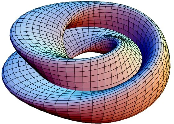 Why a person is a ball with handles: studying mathematical topology. Part 1. Introduction - My, Mathematics, The science, Topology, Education, GIF, Longpost