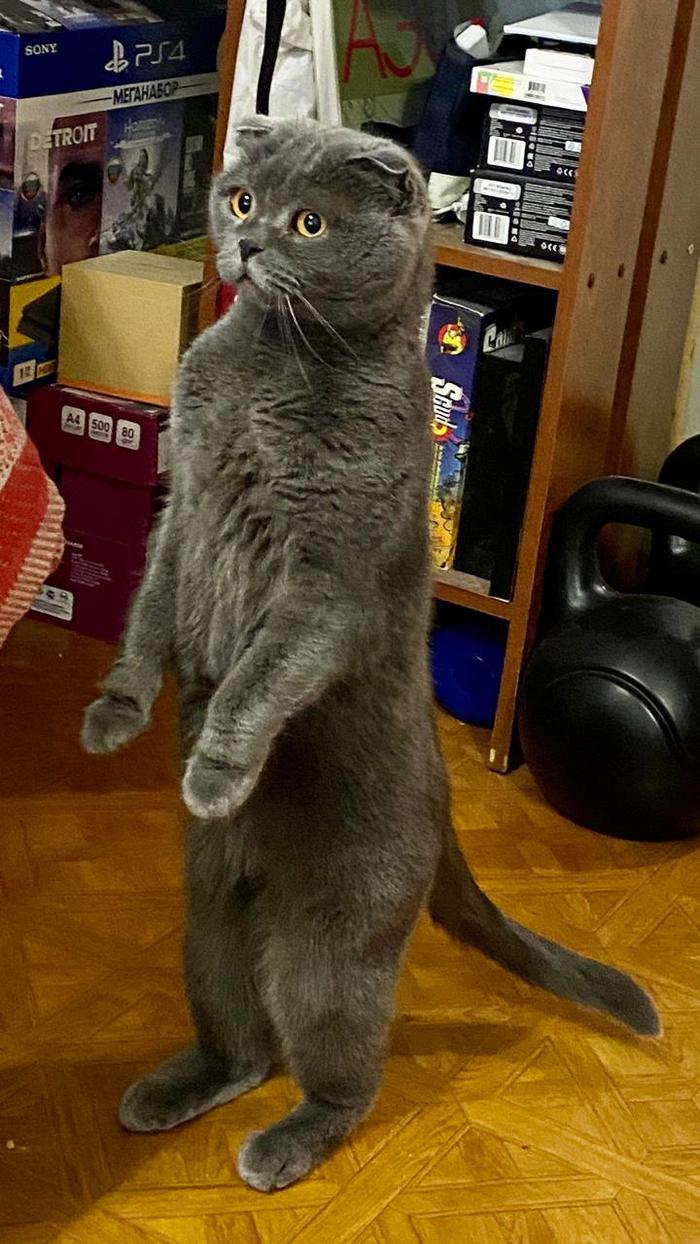 � �� ��� �� ��� �������?