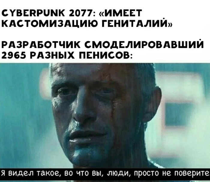 This is what I mean by hard work! - CD Projekt, Cyberpunk 2077, Penis, Computer games, Video game, Console games, Picture with text, Customization