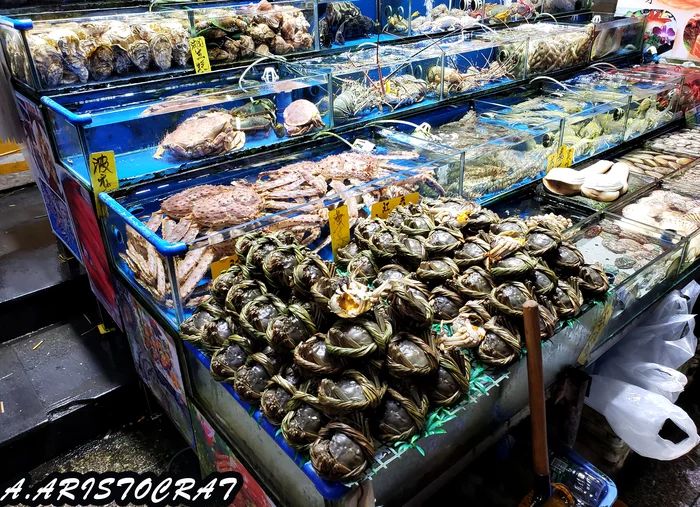 Seafood market in China, Guangzhou - My, Seafood, China, Chinese, Guangzhou, A fish, Crab, Asia, Video, Longpost
