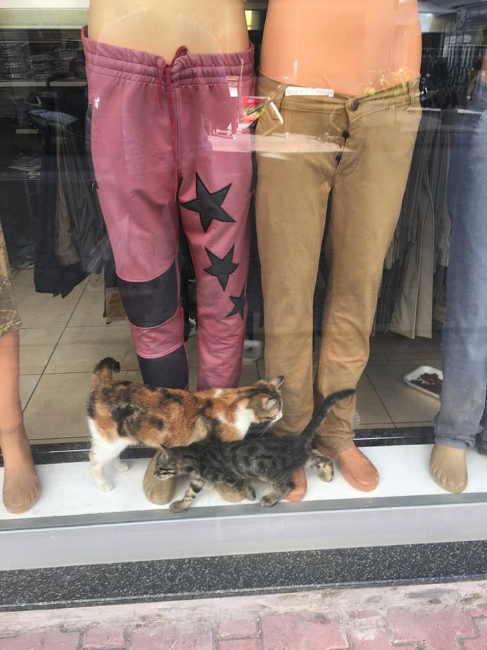      , , , , 