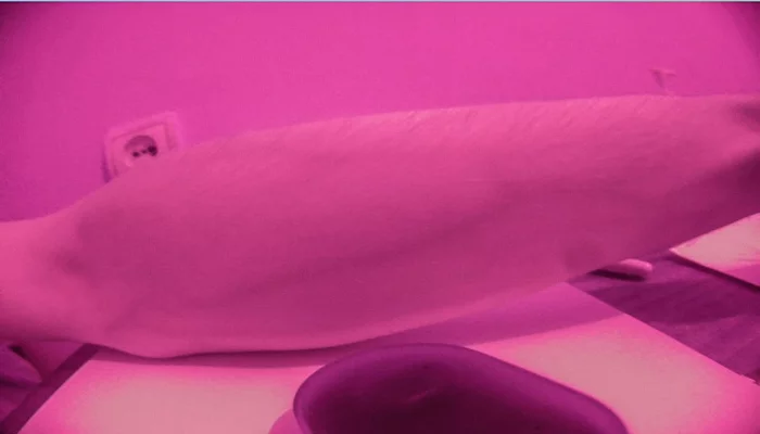 DIY IR camera - Longpost, Camera, Modifications, The photo, Infrared shooting