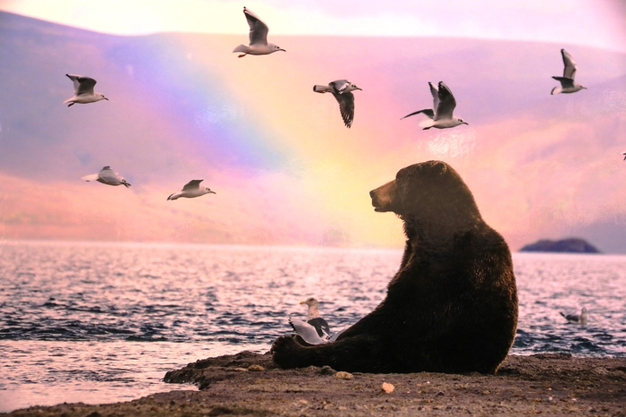 Смотри, какая красота...