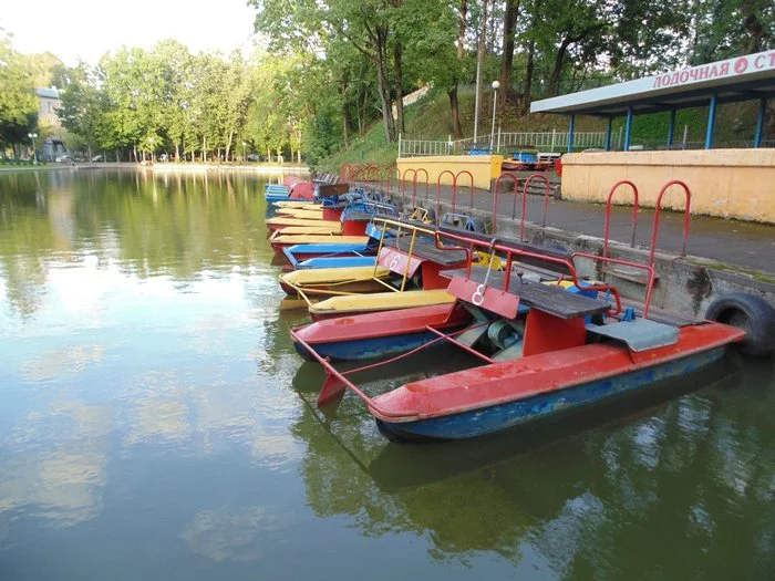 Smolensk - Smolensk, The photo, The park