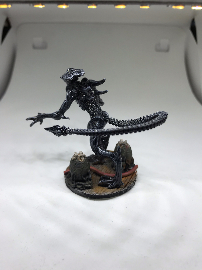   . Aliens versus Predator: Unleashed. Royal Guard  ,   , Royal Guard, 