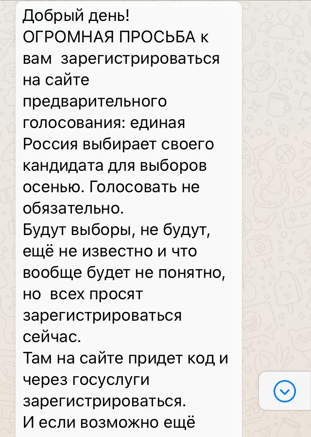 Подготовка к честным выборам идет полным ходом - Моё, Выборы, Кандидаты, Подлог, Обман, Депутаты, Текст, Политика, Негатив, Длиннопост