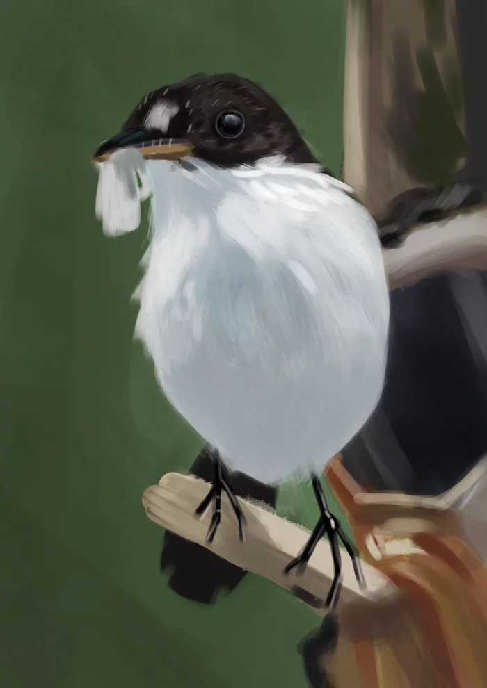 Bird - My, Beginner artist, Junior Academy of Artists, Drawing