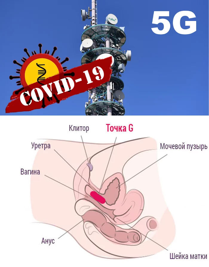 G transmitters - My, 5g, Humor, Transmitter, Теория заговора