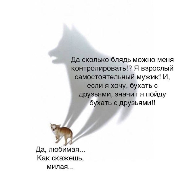 Взрослый и самостоятельный