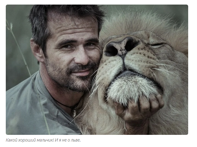 Kevin Richardson: The gouging who became the lion lord - a lion, Kevin Richardson, Zoology, Animal book, Yandex Zen, Longpost, Wild animals, Big cats, South Africa