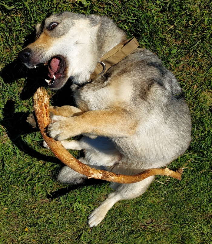 ,   ... !!!!!    ...