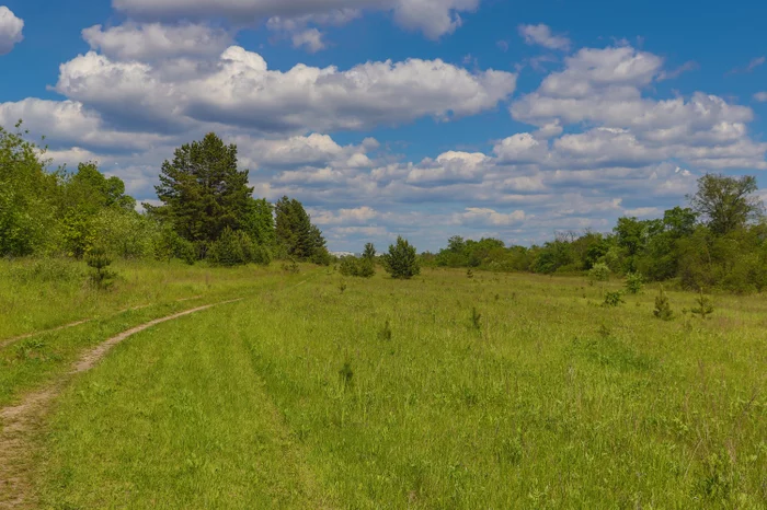 Landscape - My, The photo, Landscape, Dzerzhinsk, Canon 800D, Nature, Longpost