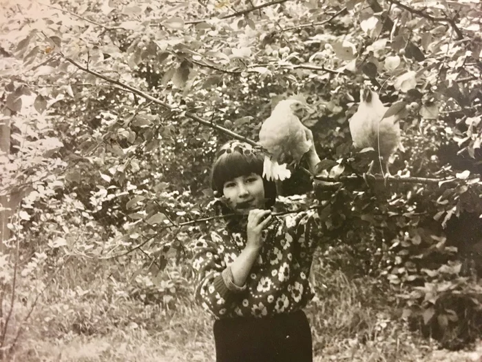 Chicken mom - My, Summer, 80-е, Old photo, Childhood memories, Real life story