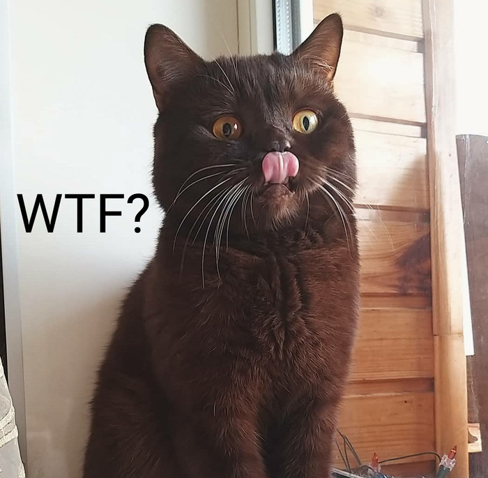 ����� �� ���� ���������