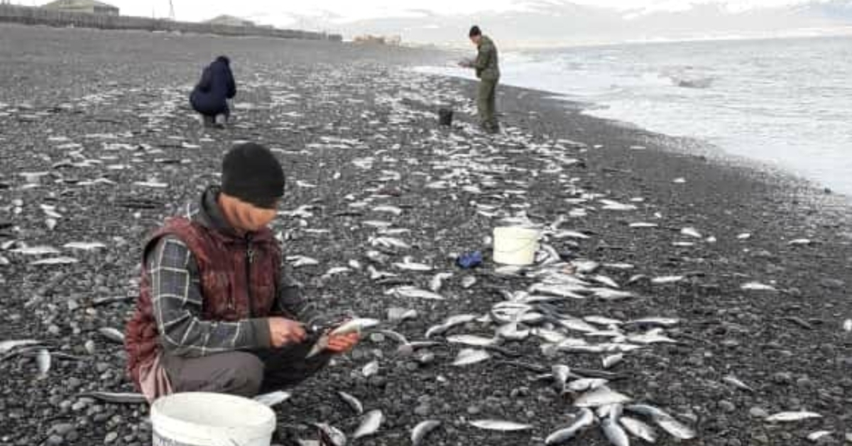 Фото Охотского Моря В Охотске