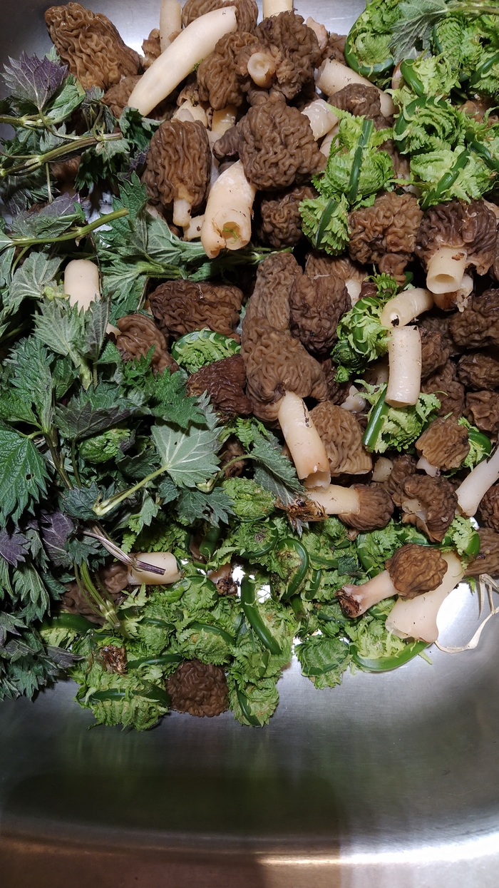 какая птица меньше колибри. Смотреть фото какая птица меньше колибри. Смотреть картинку какая птица меньше колибри. Картинка про какая птица меньше колибри. Фото какая птица меньше колибри какая птица меньше колибри. Смотреть фото какая птица меньше колибри. Смотреть картинку какая птица меньше колибри. Картинка про какая птица меньше колибри. Фото какая птица меньше колибри