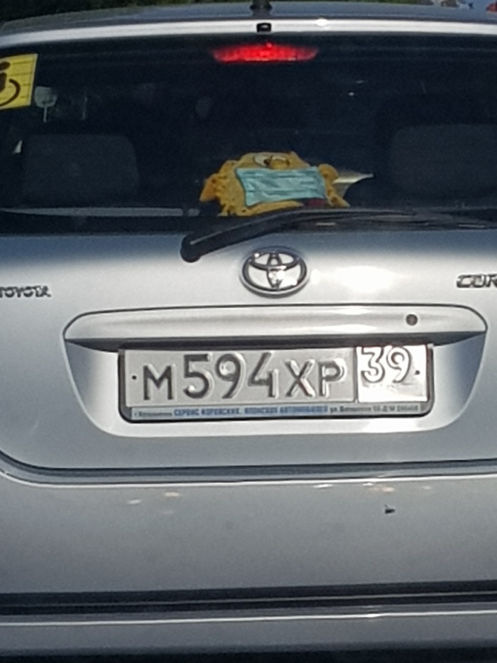 � ������������ ���� ������� �� �������� ������