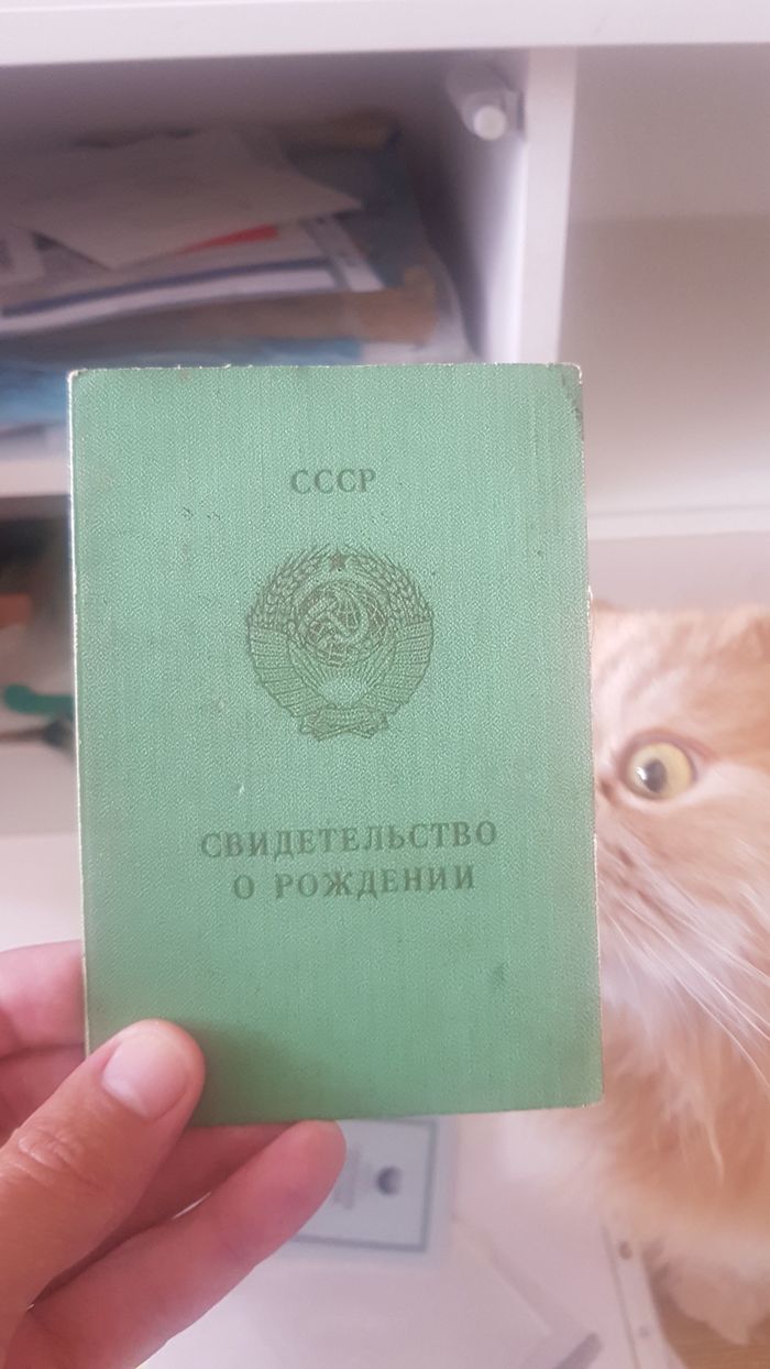 ��� �����, ��� �� ��������