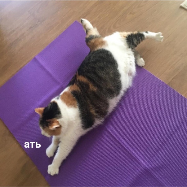   , ,  
