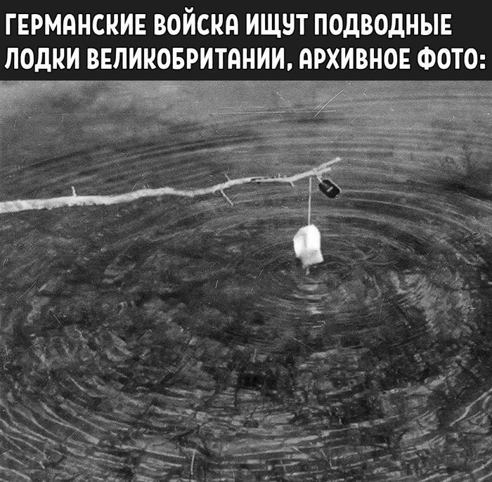 ���������� ������� - ����� ������