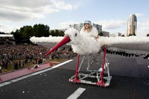 Look how I can do it!!! - Humor, Birds, The festival, Icarus, England, Longpost