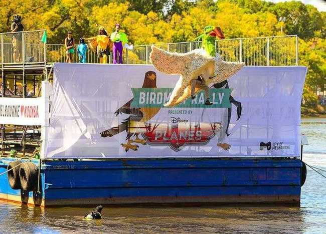 Look how I can do it!!! - Humor, Birds, The festival, Icarus, England, Longpost