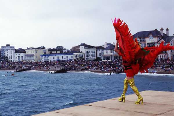 Look how I can do it!!! - Humor, Birds, The festival, Icarus, England, Longpost