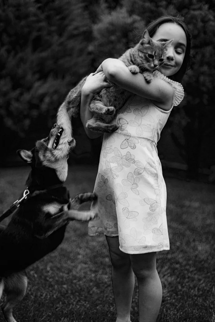 Moment - My, The photo, Girl, Dog, cat, Moment, Children