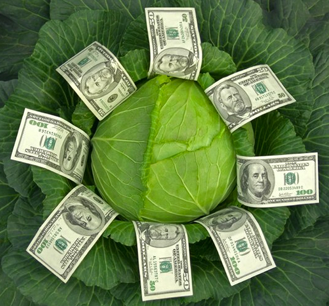 Greens деньги. Капуста деньги. Зеленые деньги. Зелень деньги. Капуста доллары.