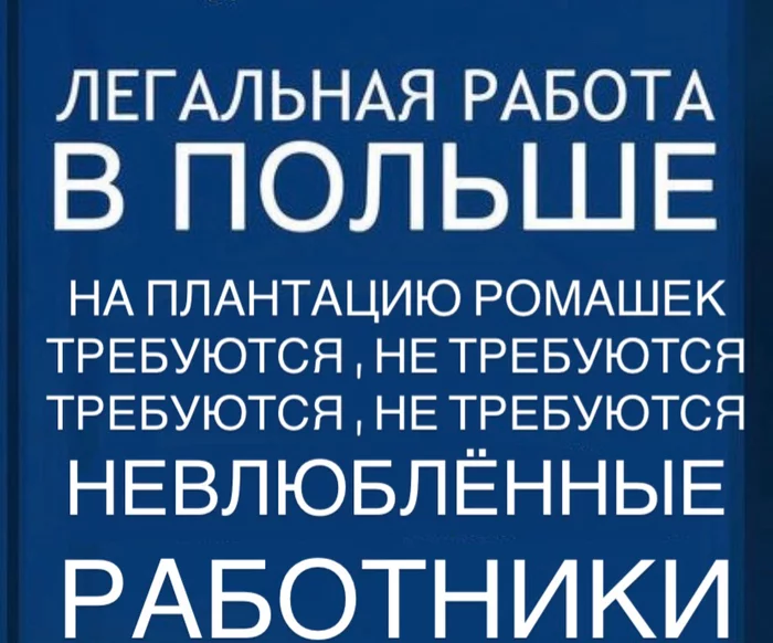 Сочувствую HR-менеджеру - Моё, Любит не любит, Вакансии, Ромашки