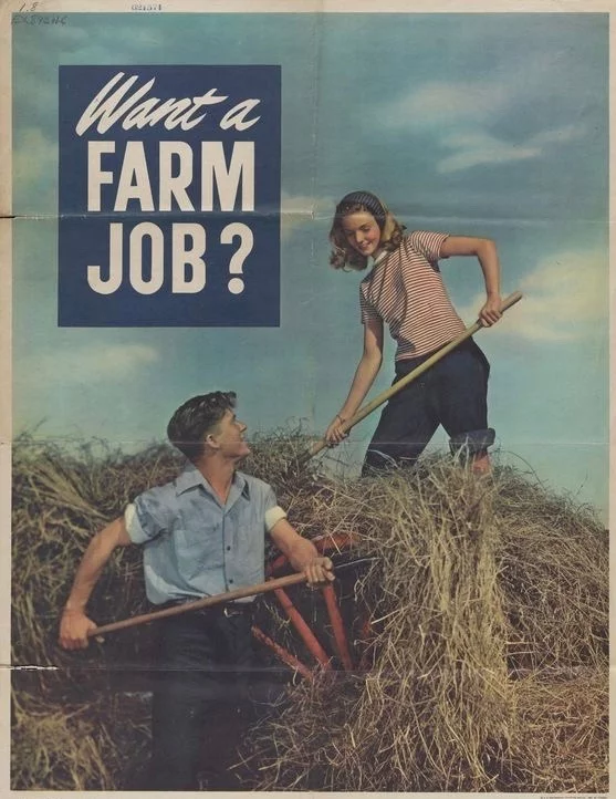 I want to work on a farm with a friend like this - USA, Сельское хозяйство, Poster, Agitation, 1947, Men, Women, Agricultural work