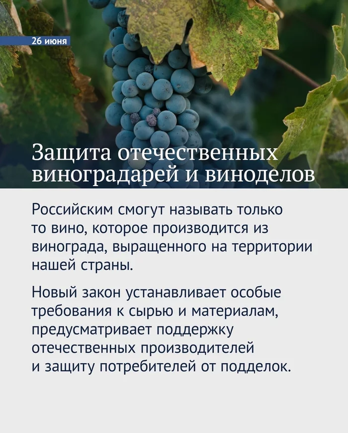 Законы, вступающие в силу в июне Закон, Россия, Новости, Длиннопост