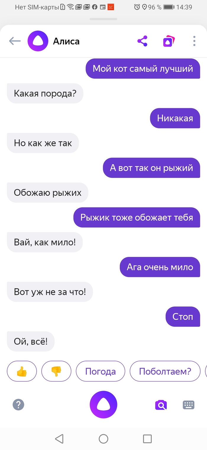 Ok google кто лучше ты или алиса