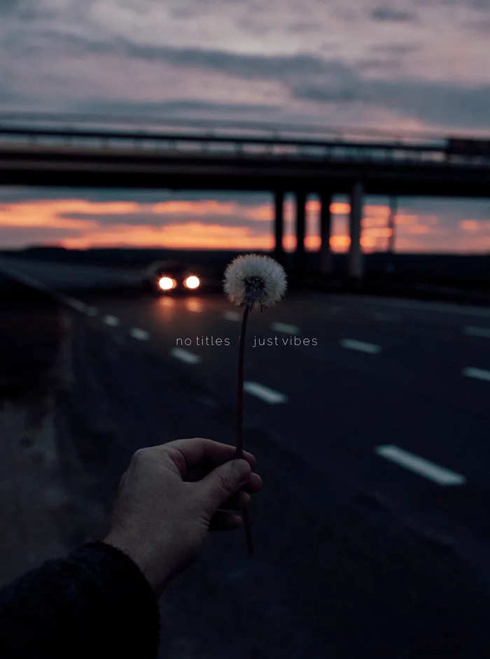 Summer is heating up - Longpost, The photo, Evening, Dandelion, Road, Travels, Nature, Sunset, Summer, My