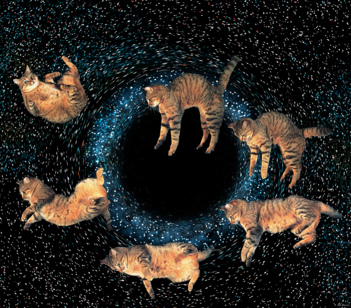,    ,  ,  ,  , 