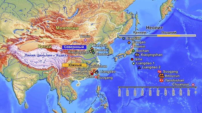 Генетическая история Восточной Азии (неолит) и распространение австронезийских языков - Моё, Наука, Популяционная генетика, Восточная Азия, Антропология, Видео, Длиннопост, Неолит, Китай, Азиаты, Гифка
